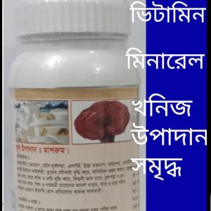 MUSHROOM MIXED POWDER 